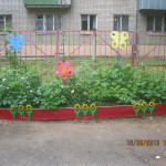 Новый газон во дворе детского сада